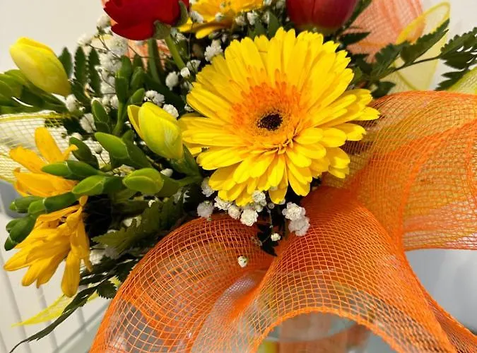 Bed & Breakfast La Del Golfo