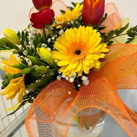 Bed & Breakfast La Del Golfo